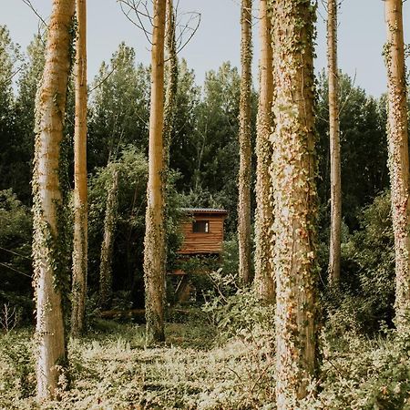 Bonita cabaña de los arboles en La Rioja , Durmiendo entre arboles Anguciana Exterior foto