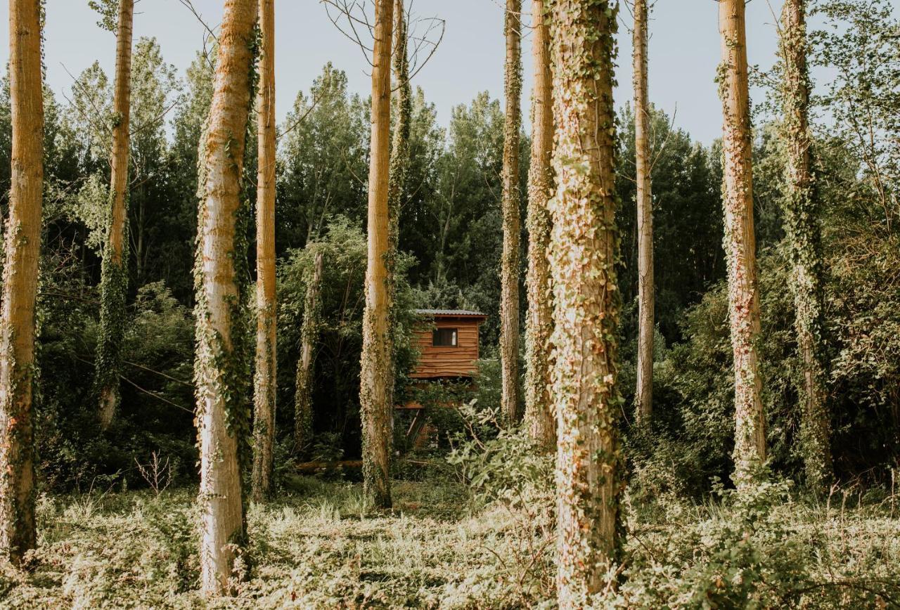 Bonita cabaña de los arboles en La Rioja , Durmiendo entre arboles Anguciana Exterior foto