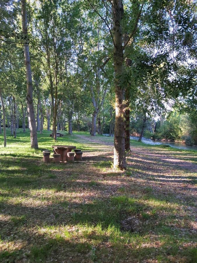Bonita cabaña de los arboles en La Rioja , Durmiendo entre arboles Anguciana Exterior foto