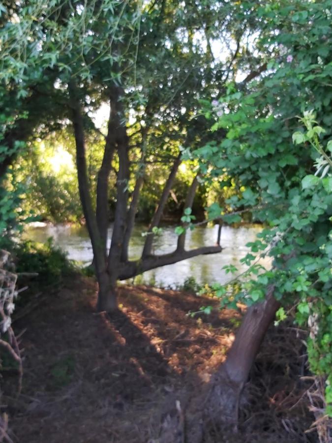 Bonita cabaña de los arboles en La Rioja , Durmiendo entre arboles Anguciana Exterior foto